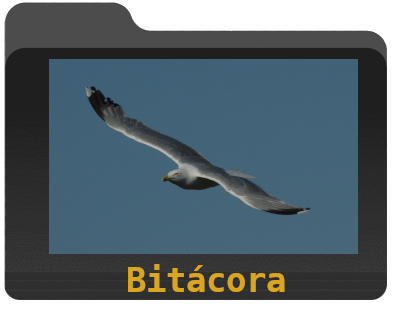 Bitácora